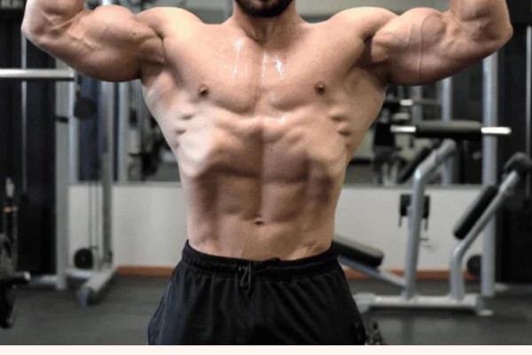 wellhealth how to build muscle tag